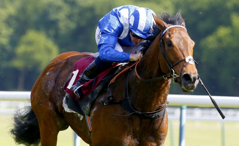 Big Field for the King's Stand Stakes at Royal Ascot | Sports News ...