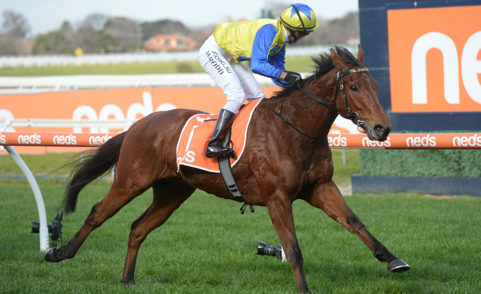 Melbourne Cupwinning jockey Michael Rodd rides Caulfield winner
