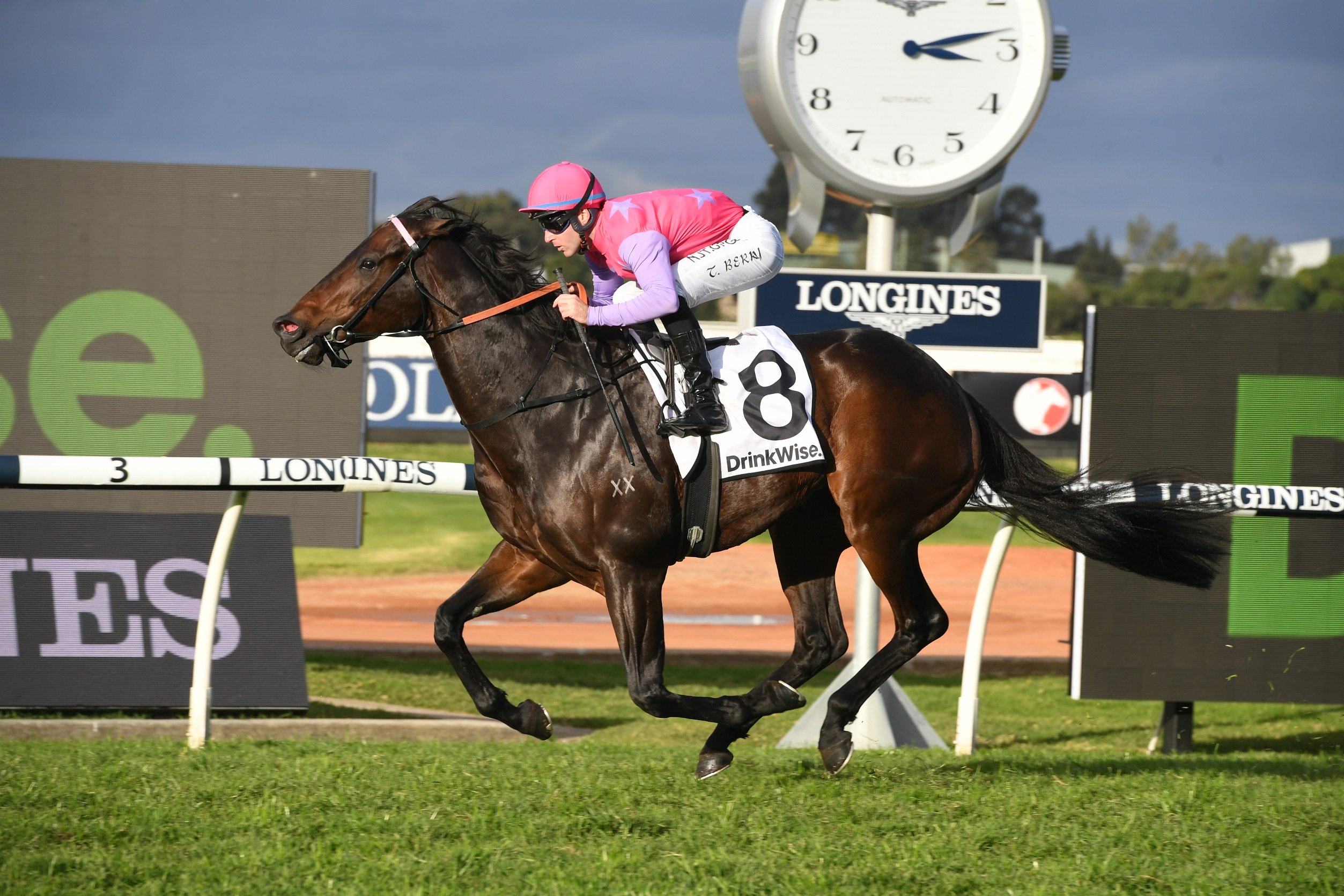 Trumbull Heads The Field For The Winter Stakes Sports News Australia