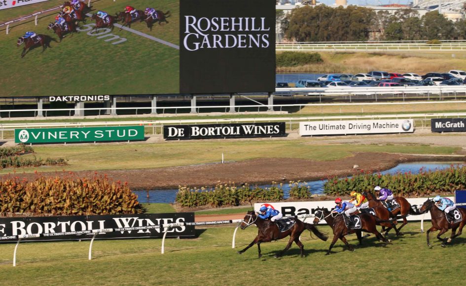 Expressway Stakes day Tips and Bets Rosehill Races 30/1/2021 Sports