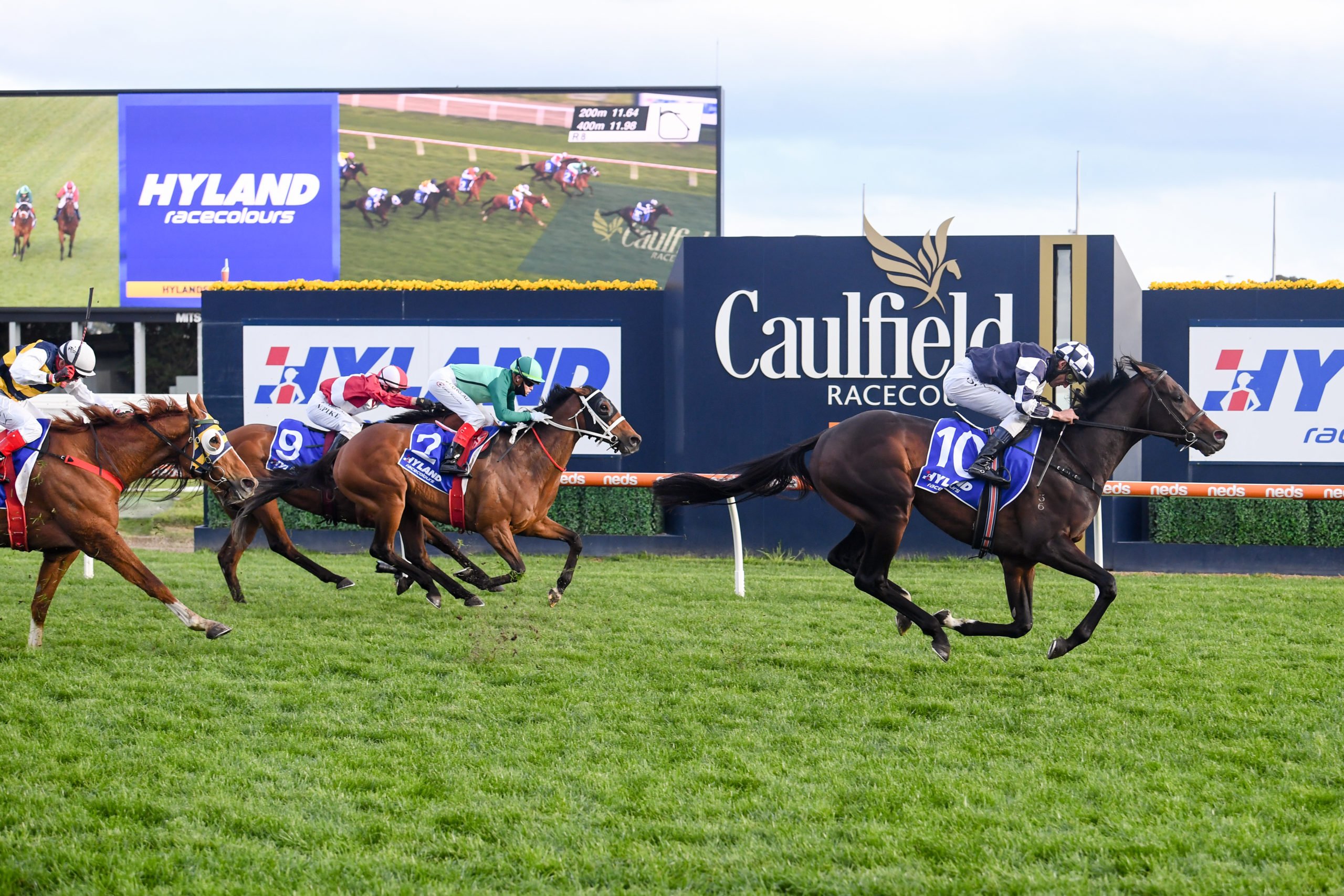 caulfield stakes odds