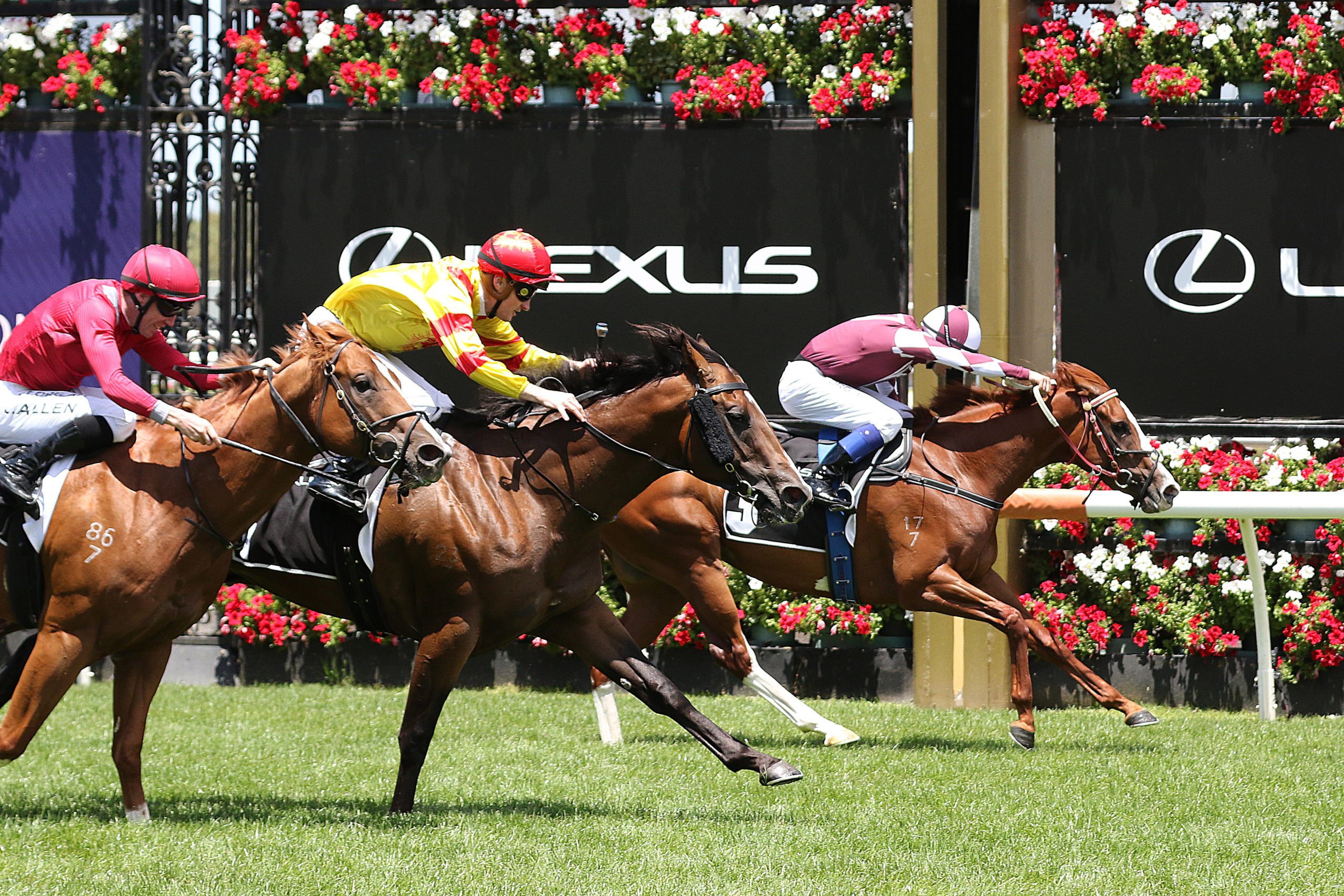 New trainers celebrate their first Flemington wins Sports News Australia