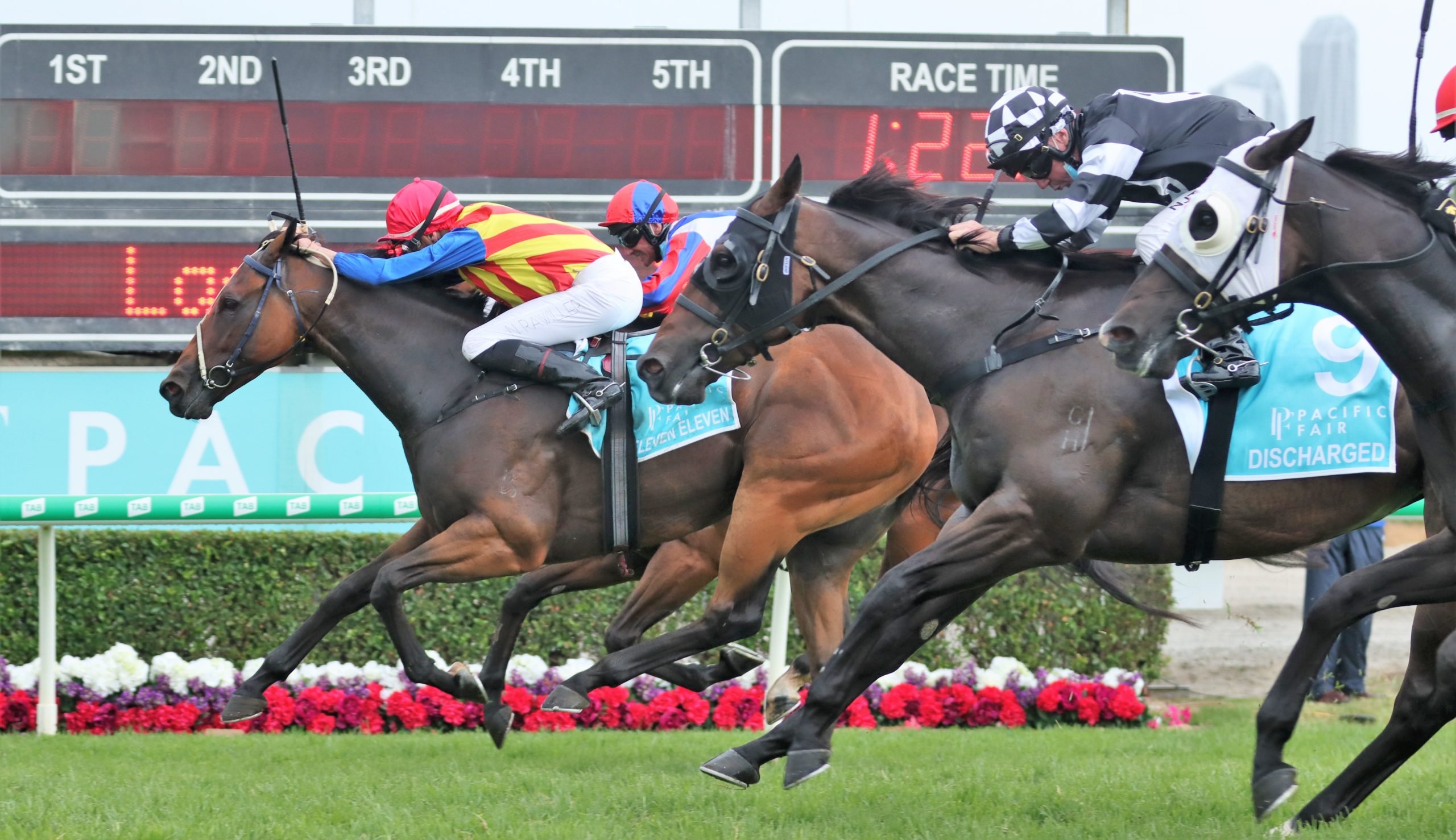2021 TJ Smith Stakes test for emerging sprinter | Sports News Australia 