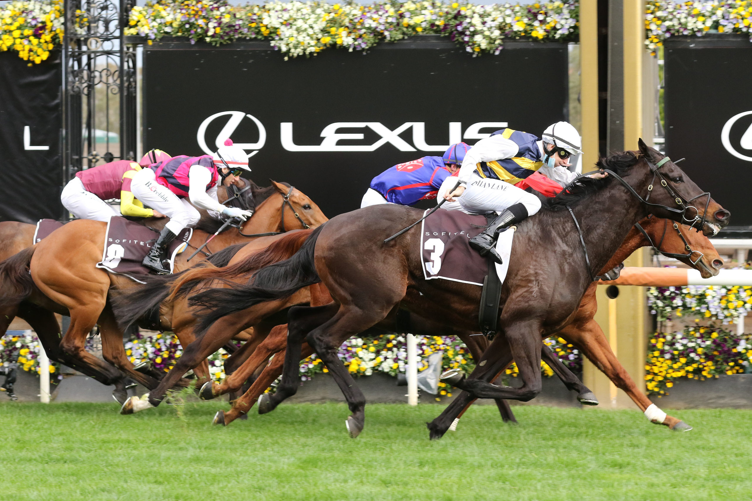 VRC Community Day at Flemington Tips, Race Previews and Selections 4