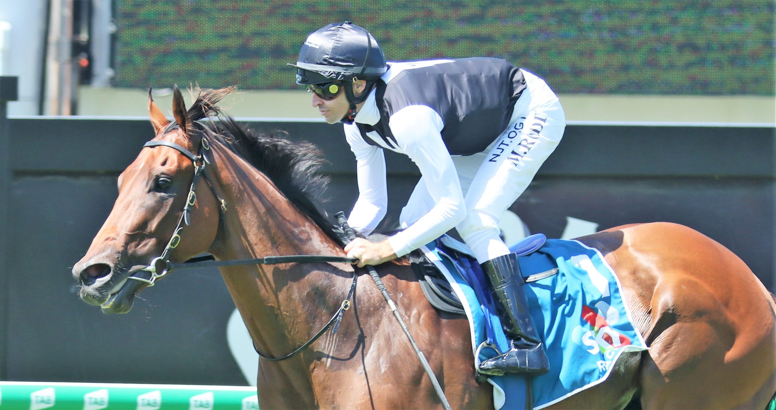 Garibaldi strides away with the George Moore Stakes 2022 | Sports News ...