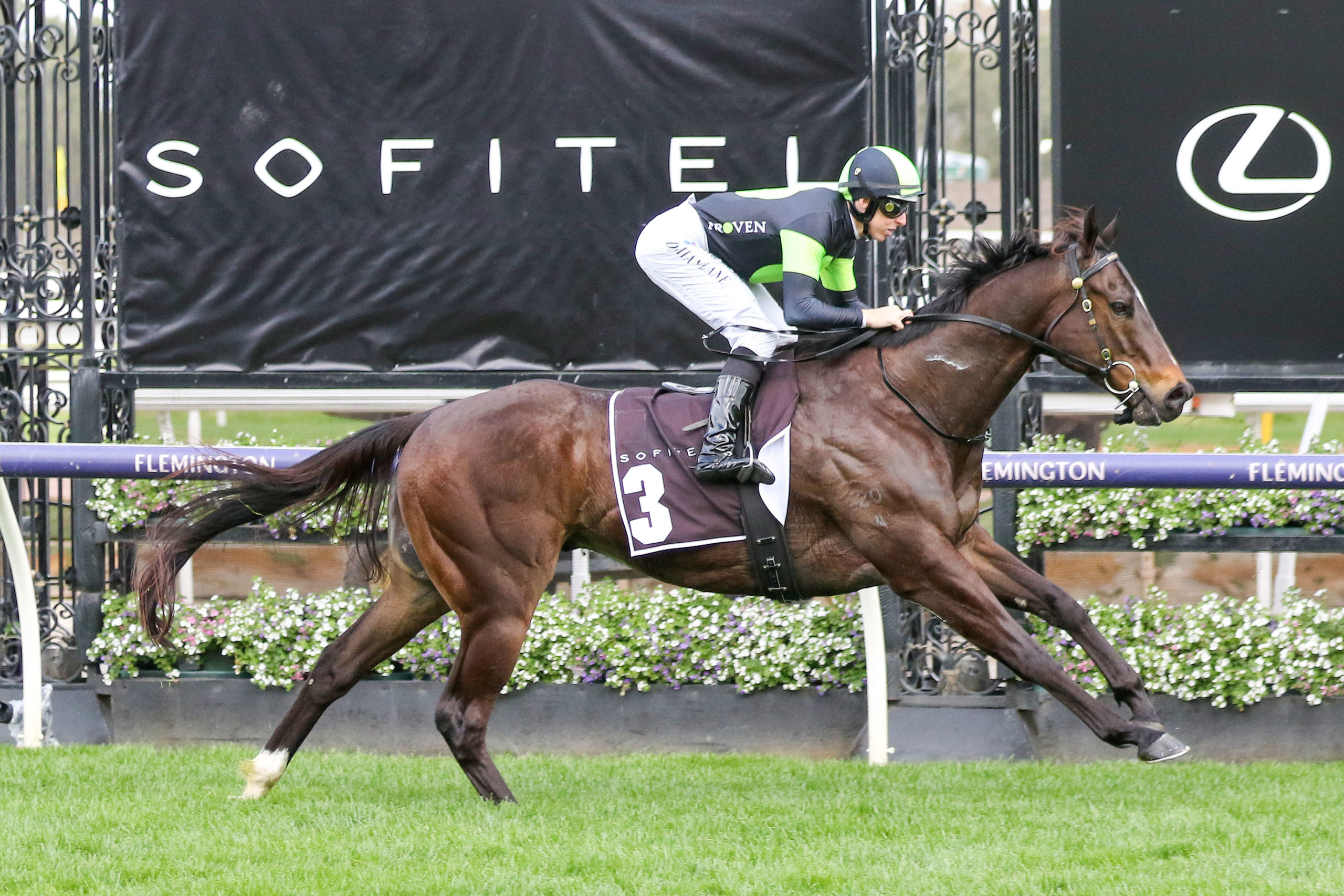 Scallopini to enjoy Flemington return Sports News Australia