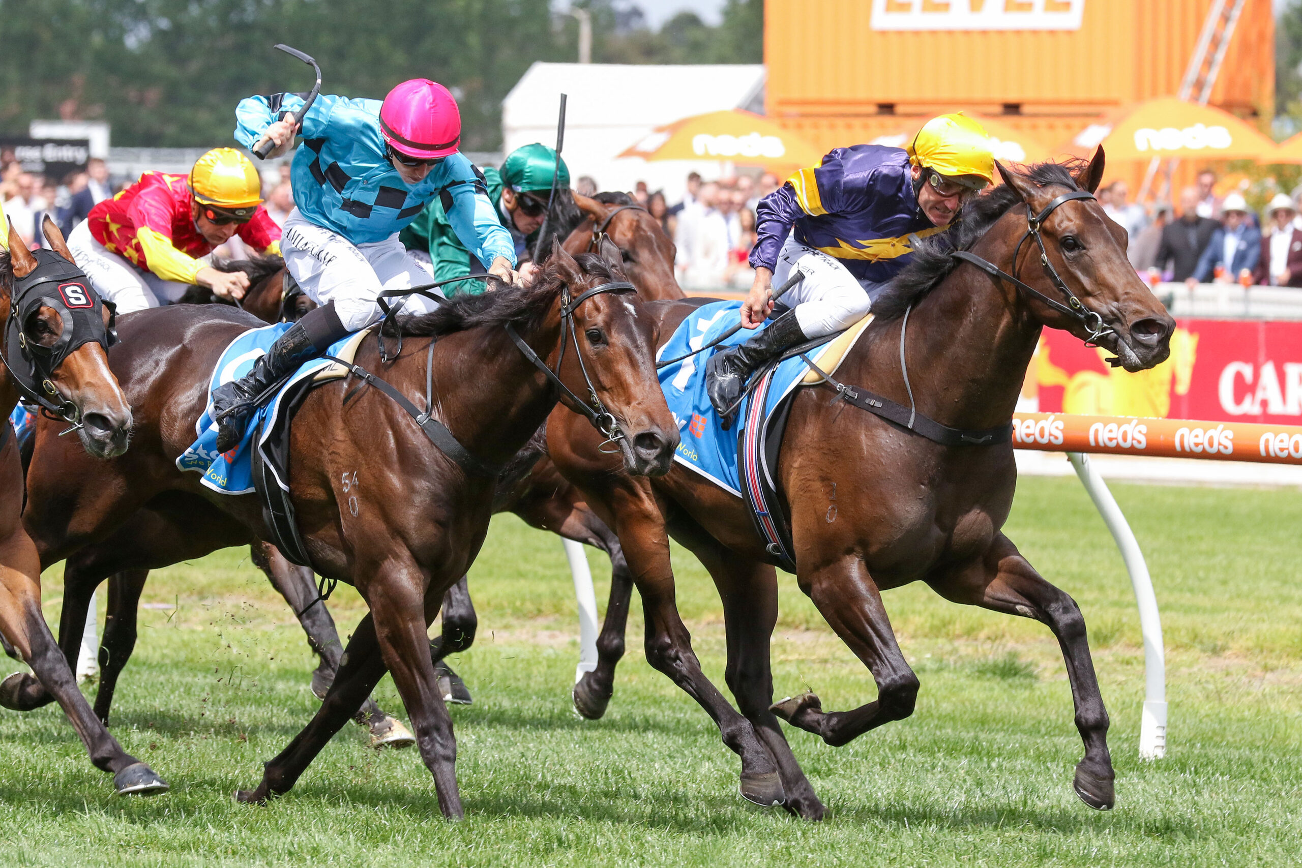 Zipping Classic Day at Caulfield Tips, Race Previews and Selections – 2 ...