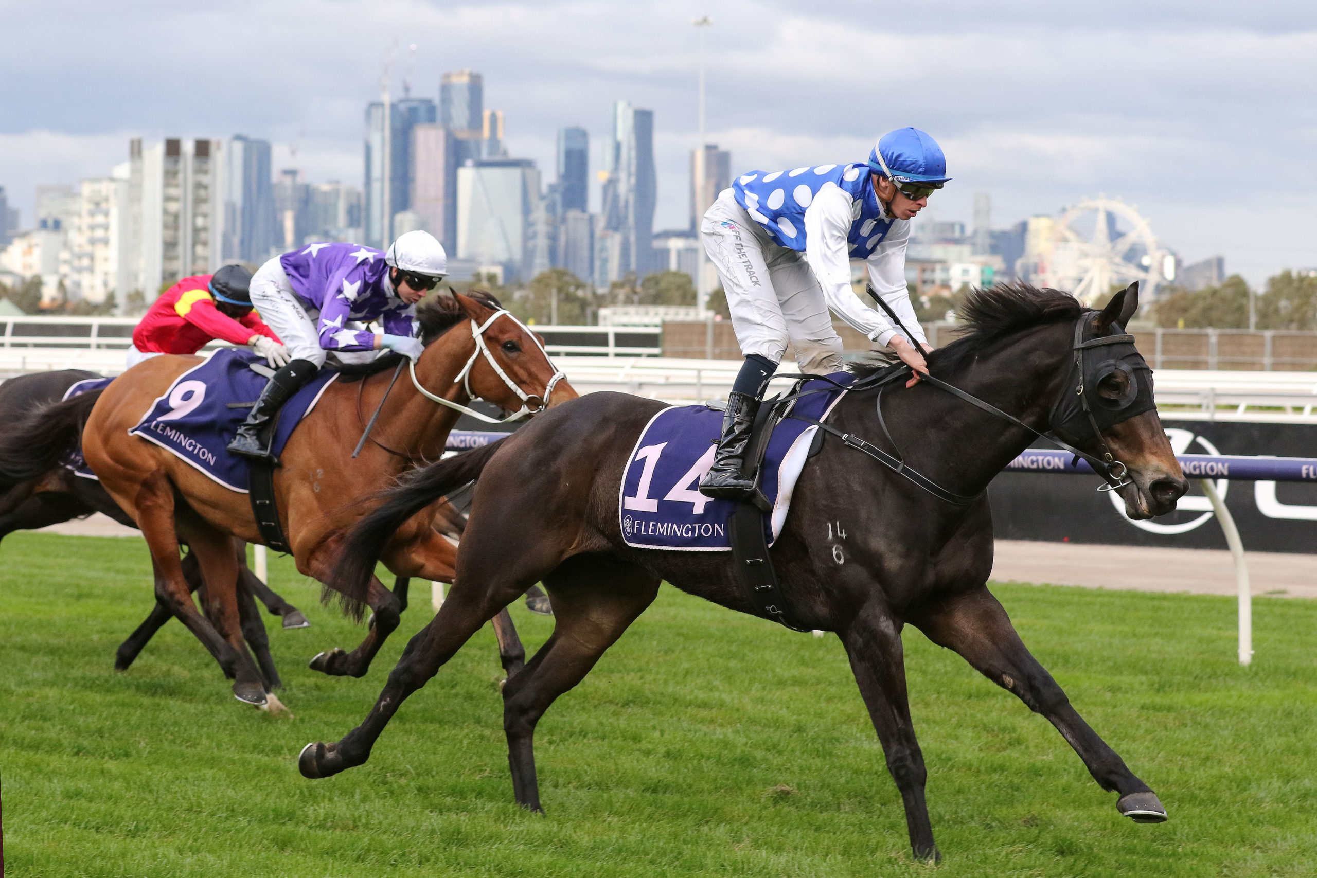 Adelaide Cup winner chases spot in the Melbourne Cup 2024 Sports News