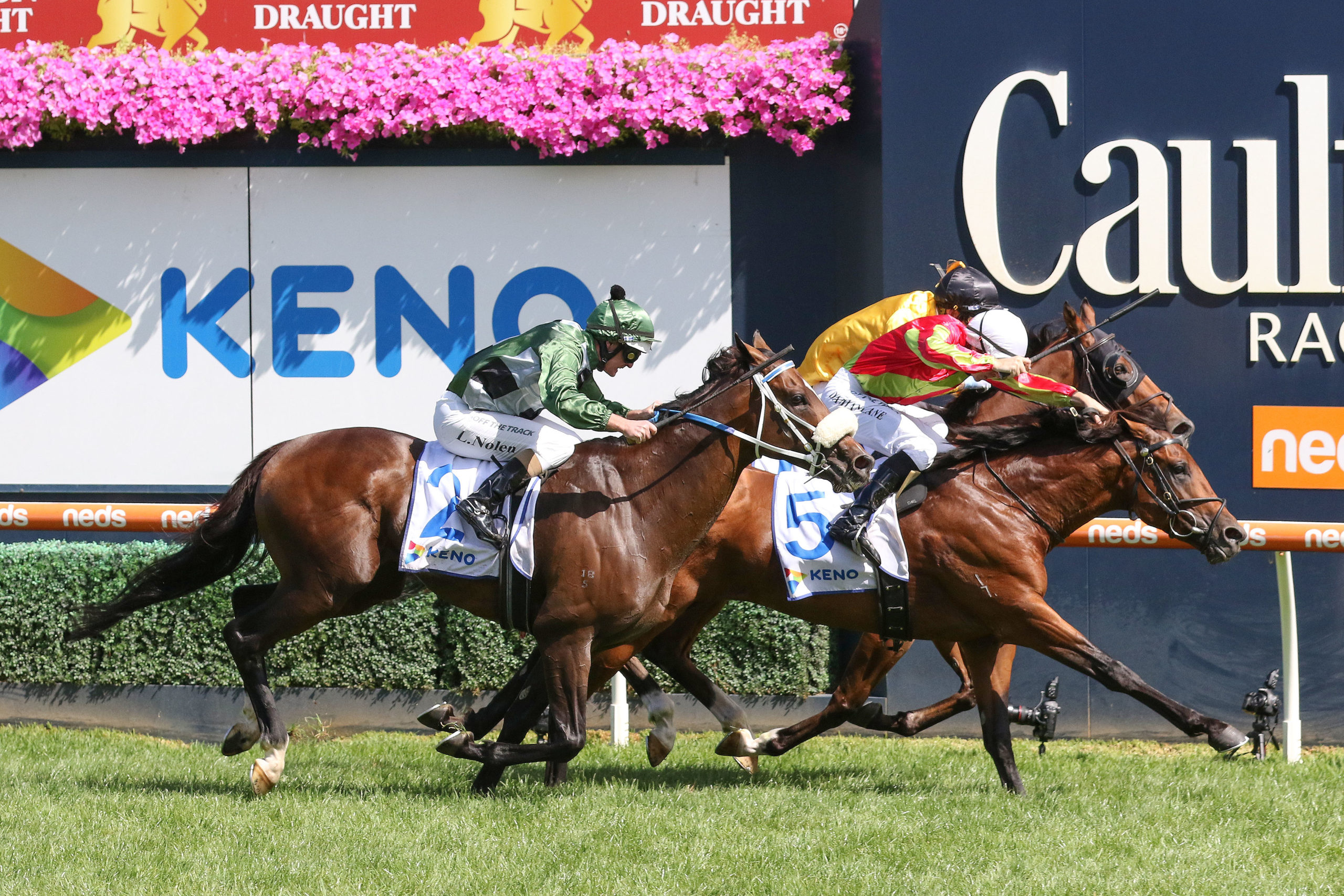 Horse Racing News: Gelding to bring out best in Earlswood