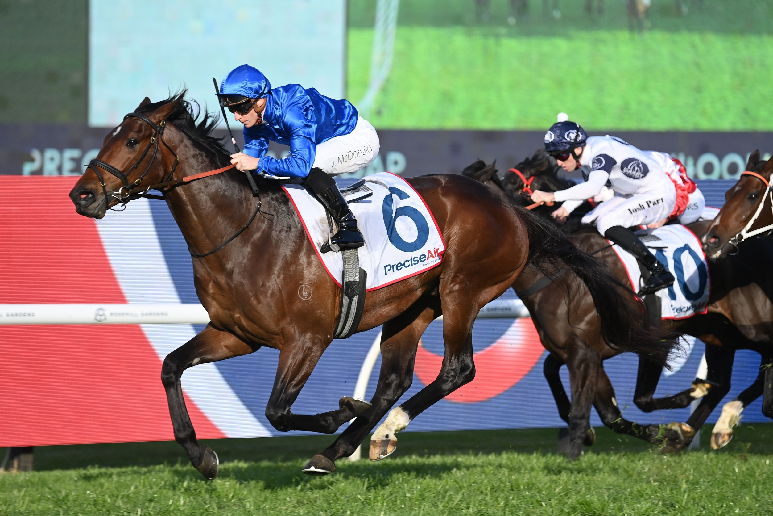 Horse Racing News: New-look Tom Kitten bounces back to best
