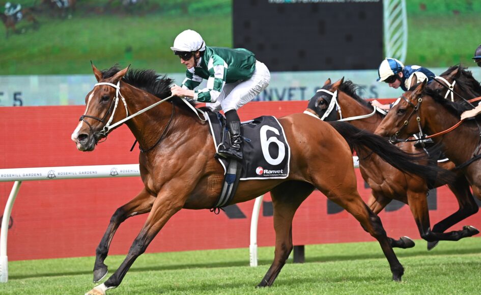 Spring coat a positive sign for Via Sistina ahead of Winx Stakes Sports News Australia