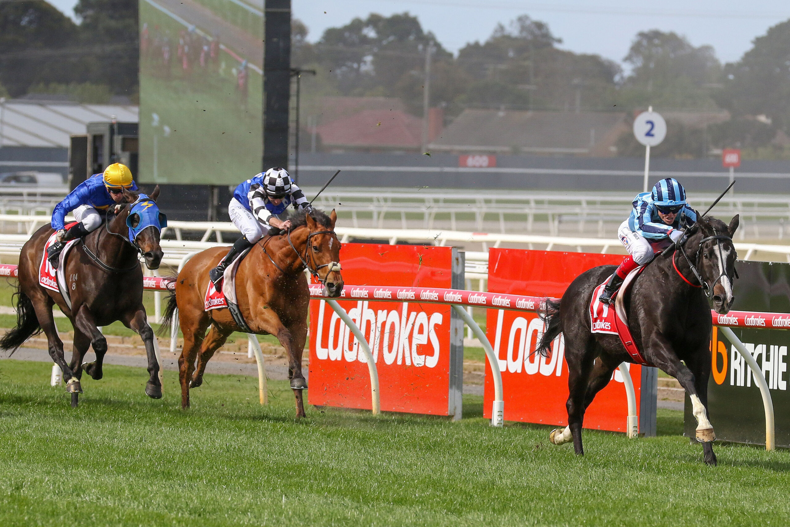 Onesmoothoperator cops Melbourne Cup 2024 weight penalty Sports News