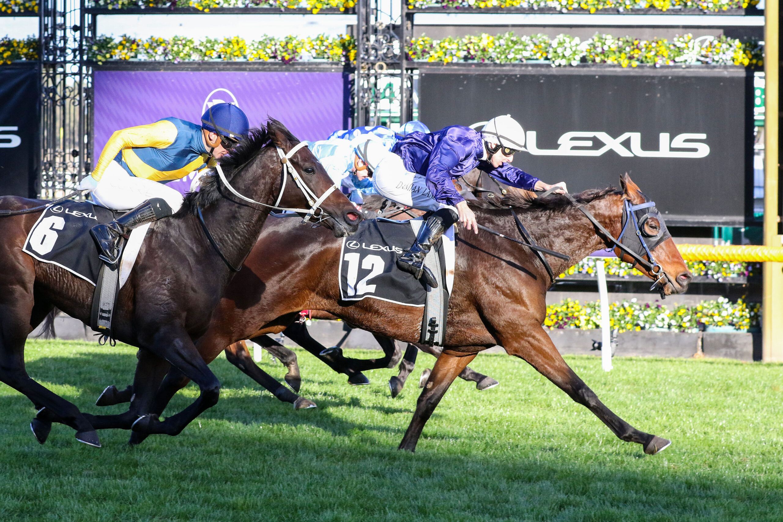 Globetrotting King picks up The Map for Melbourne Cup 2024 Sports