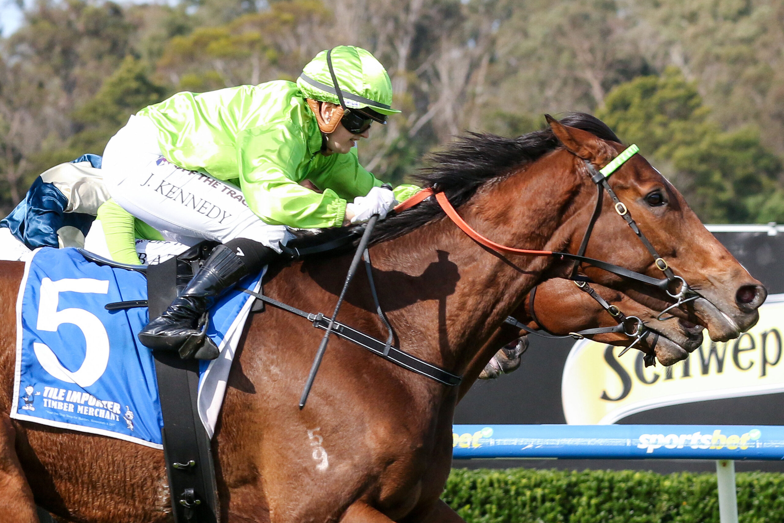 Emotional win for Berkeley Square in Ballarat Cup 2024 Sports News