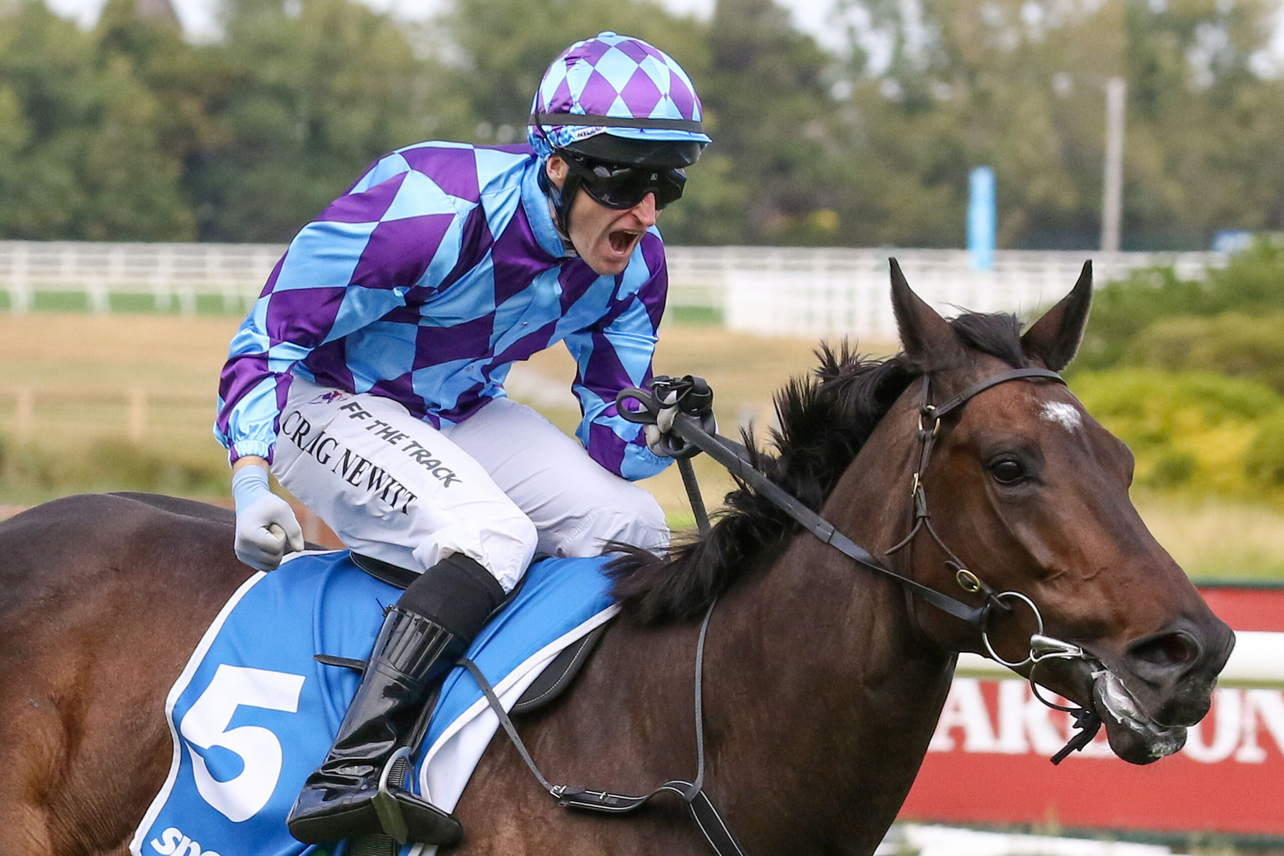 Peter Young Stakes 2025 win
