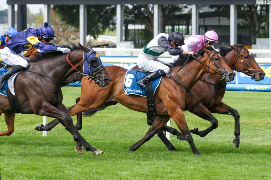 Group of jockeys riding fast Thoroughbreds in a race on a green turf track, colorful silks flowing as they sprint toward the finish line