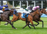 Group of jockeys riding fast Thoroughbreds in a race on a green turf track, colorful silks flowing as they sprint toward the finish line