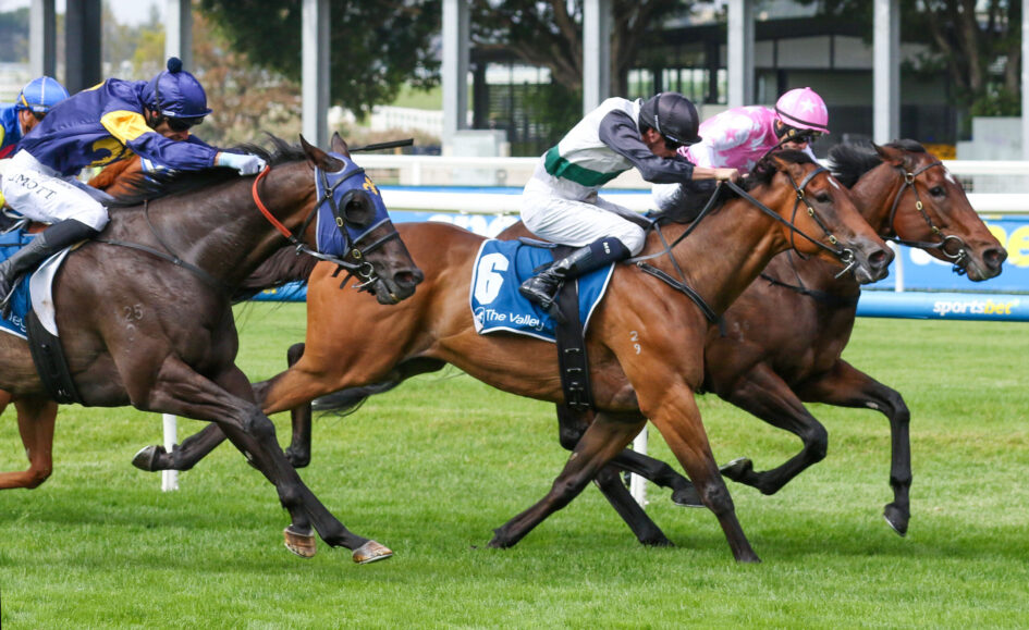 Group of jockeys riding fast Thoroughbreds in a race on a green turf track, colorful silks flowing as they sprint toward the finish line