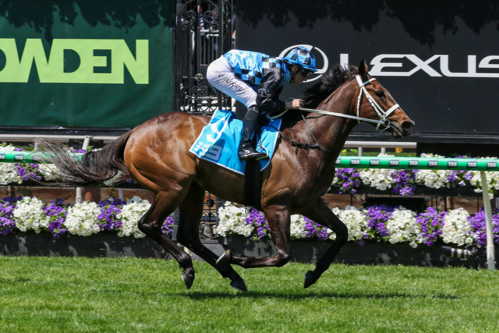 Jockey in blue checkered silks riding a brown horse mid-jump in a horse race, with sponsor banners in the background.