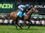 Jockey in blue checkered silks riding a brown horse mid-jump in a horse race, with sponsor banners in the background.
