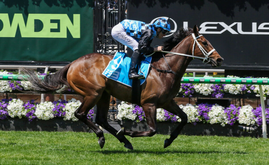 Jockey in blue checkered silks riding a brown horse mid-jump in a horse race, with sponsor banners in the background.