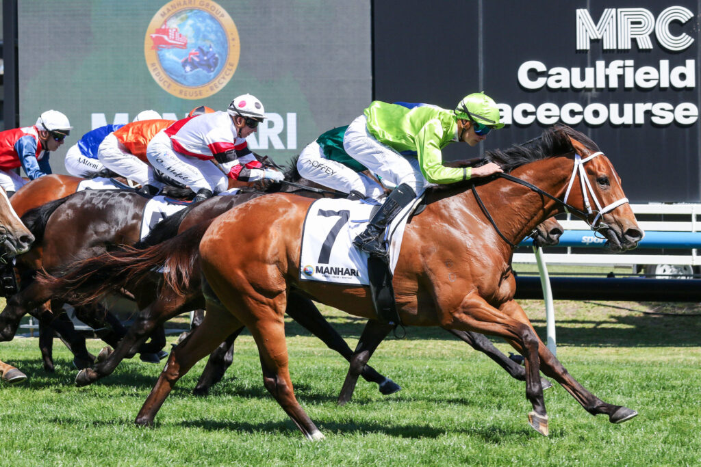 Horse race with several jockeys in colorful silks riding galloping horses on grass, leaning forward in a packed sprint.