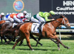 Horse race with several jockeys in colorful silks riding galloping horses on grass, leaning forward in a packed sprint.