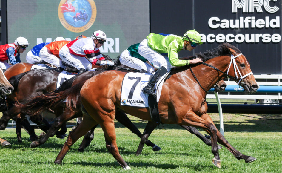 Horse race with several jockeys in colorful silks riding galloping horses on grass, leaning forward in a packed sprint.