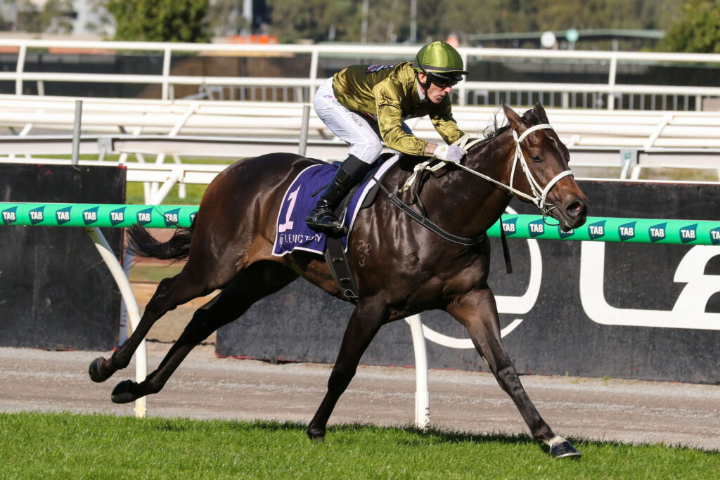 Jockey in a green helmet and gold silks riding a dark horse at full gallop on a racetrack with green railings behind.