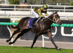 Jockey in a green helmet and gold silks riding a dark horse at full gallop on a racetrack with green railings behind.