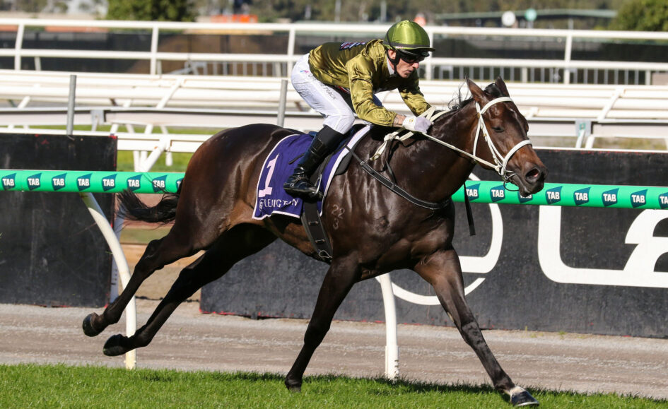 Jockey in a green helmet and gold silks riding a dark horse at full gallop on a racetrack with green railings behind.