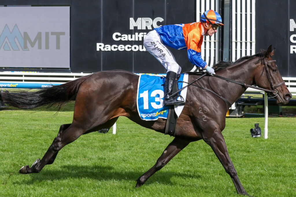 Jockey in orange and blue silks riding a dark brown racehorse on a grassy track during a race, with signs in the background.