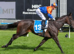 Jockey in orange and blue silks riding a dark brown racehorse on a grassy track during a race, with signs in the background.
