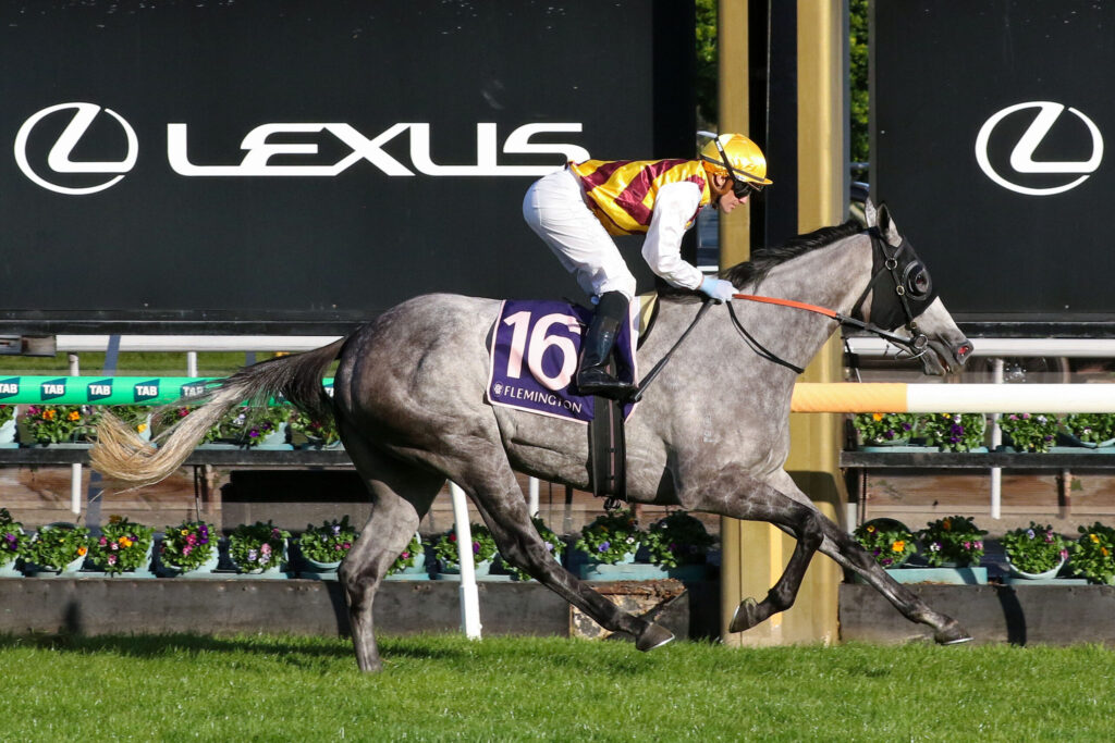 Jockey in yellow and maroon silks rides a gray horse mid-jump at a racecourse, Lexus signage in the background.