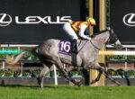 Jockey in yellow and maroon silks rides a gray horse mid-jump at a racecourse, Lexus signage in the background.