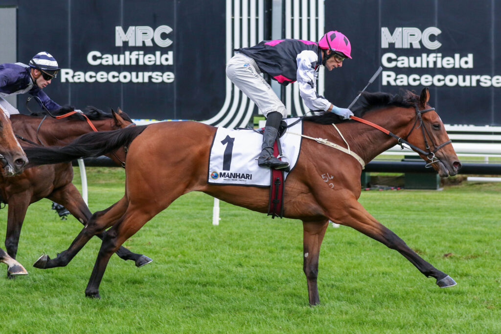 Jockeys race on riding horses at Caulfield Racecourse, pink-helmeted rider in foreground.