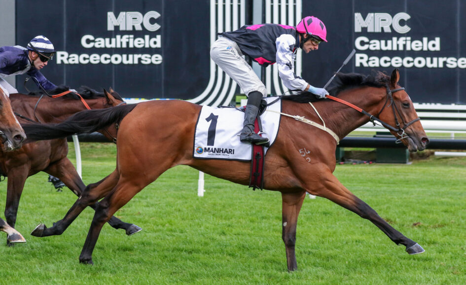 Jockeys race on riding horses at Caulfield Racecourse, pink-helmeted rider in foreground.
