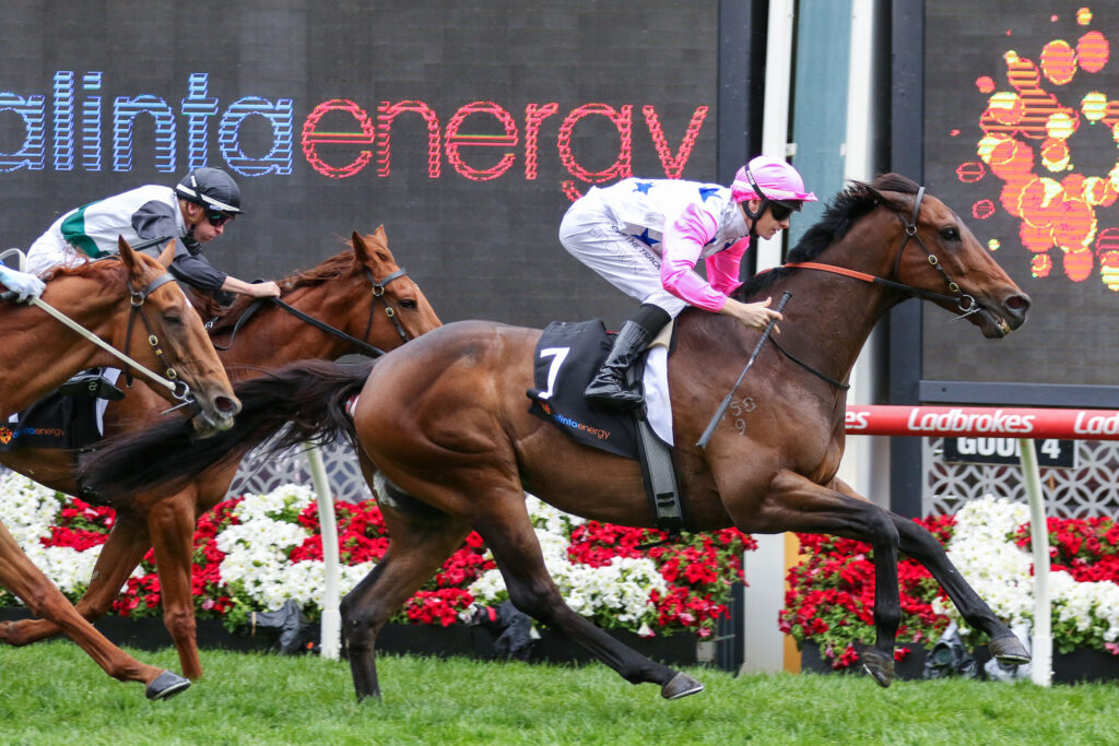 Two jockeys race brown horses toward the finish, pink-and-white-silk rider ahead as flowers line the track and a digital display looms in the background.