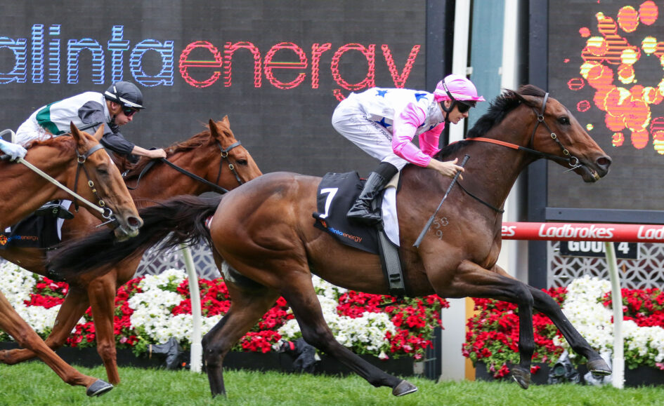 Two jockeys race brown horses toward the finish, pink-and-white-silk rider ahead as flowers line the track and a digital display looms in the background.