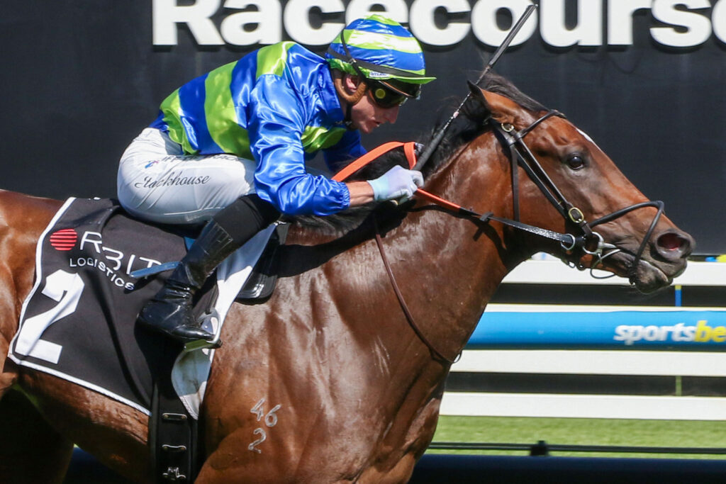 Jockey in blue and lime silks rides a brown horse over a hurdle during a race.