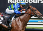 Jockey in blue and lime silks rides a brown horse over a hurdle during a race.