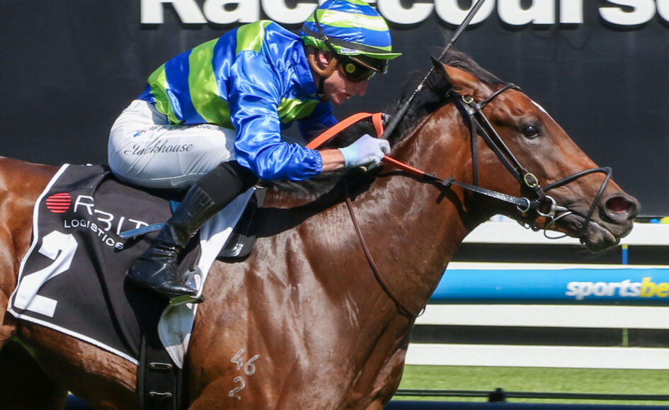 Jockey in blue and lime silks rides a brown horse over a hurdle during a race.