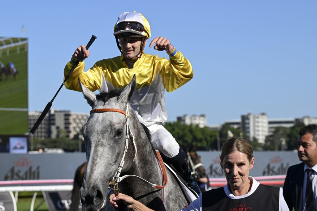 Jockey in yellow silks on a gray horse celebrates victory, raising a fist as a handler holds the reins nearby at a sunny racetrack.