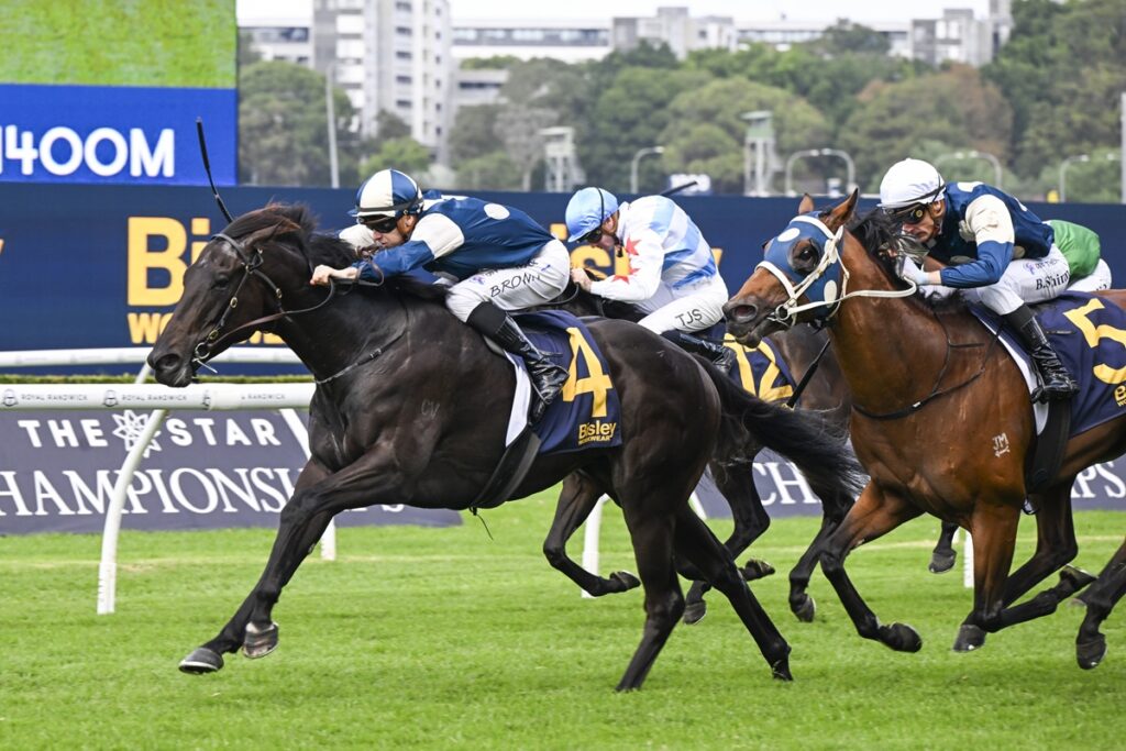 Horse race in progress as a black horse with number 4 leads a pack of jockeys on a green turf, blue and white silks flying. The Star Championships backdrop is visible.