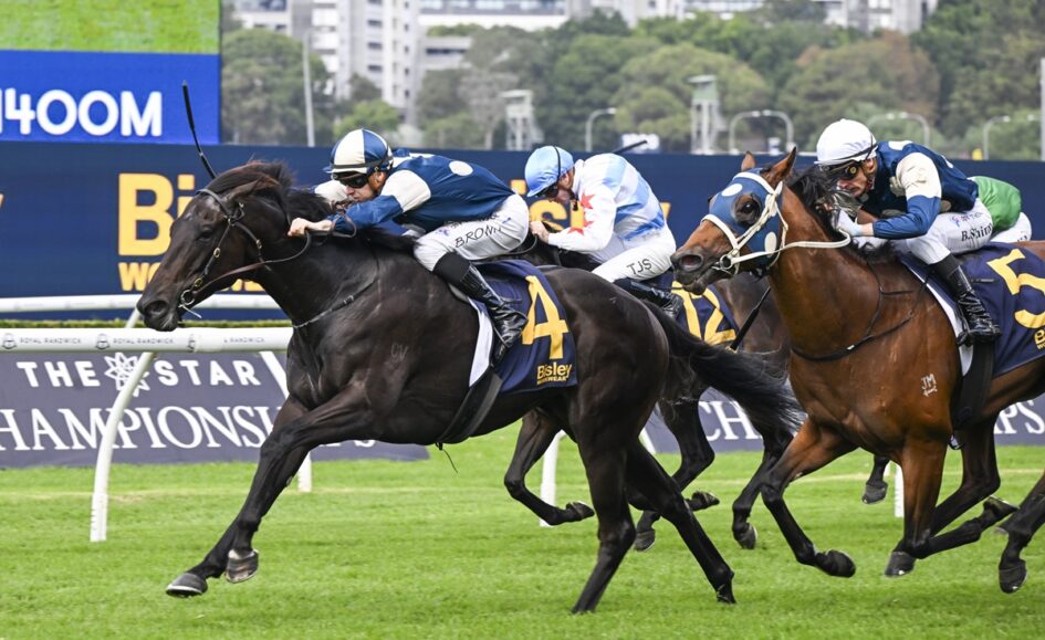 Horse race in progress as a black horse with number 4 leads a pack of jockeys on a green turf, blue and white silks flying. The Star Championships backdrop is visible.