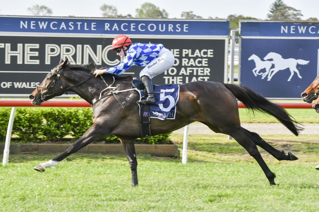 Jockey in blue checkered silks and red helmet rides a dark horse wearing bib #5 on a racetrack at Newcastle Racecourse.