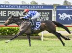 Jockey in blue checkered silks and red helmet rides a dark horse wearing bib #5 on a racetrack at Newcastle Racecourse.