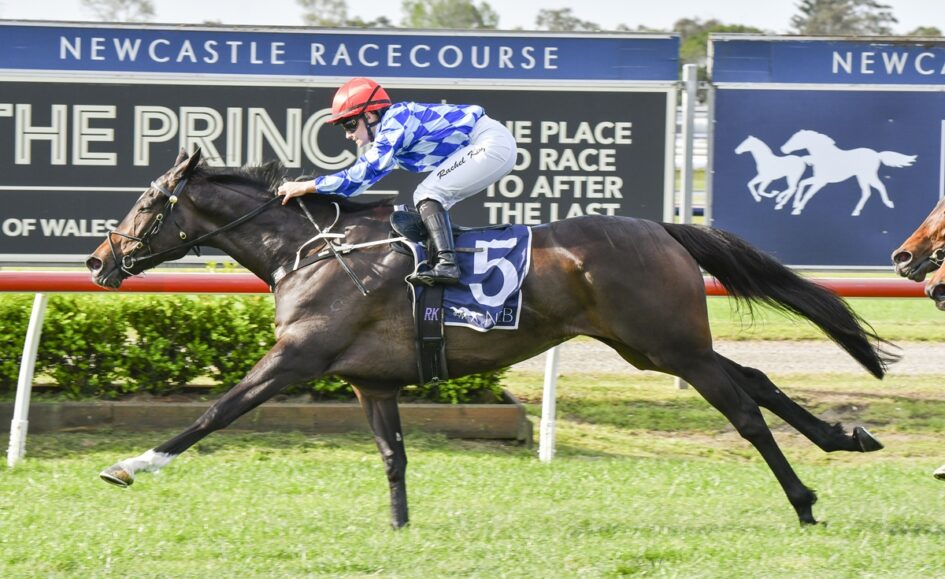 Jockey in blue checkered silks and red helmet rides a dark horse wearing bib #5 on a racetrack at Newcastle Racecourse.