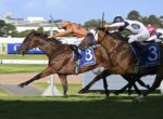Two galloping thoroughbreds in a close race, jockeys leaning forward; blue saddlecloths show numbers 8 and 3 on their horses.