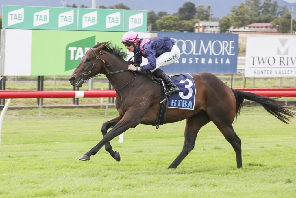 Dark brown racehorse gallops on green track with jockey in pink helmet and blue silks, saddle cloth reads 3 HTBA, banners in background.